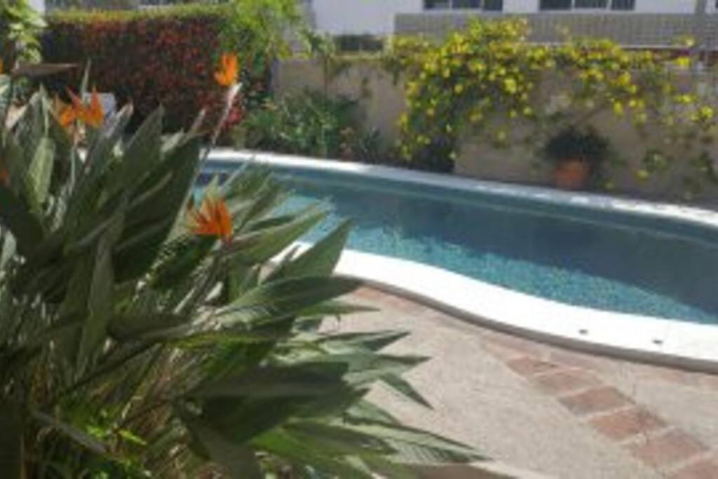 Apartmento Con Alberca A 50 Mt Del Mar La Licha Mazatlan Ngoại thất bức ảnh